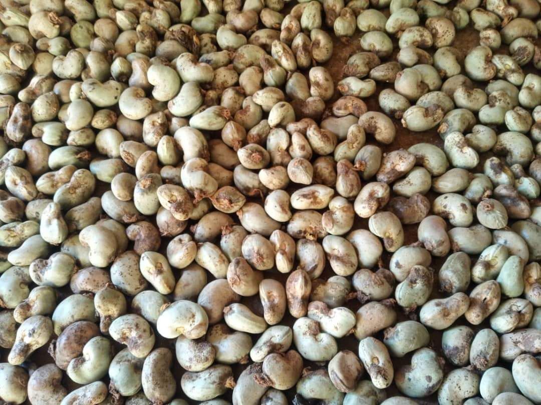 photo_2024-01-04_12-46-31 (2).jpg